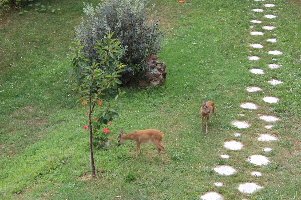 Segni E Impronta Bed & Breakfast Finale Ligure Eksteriør bilde