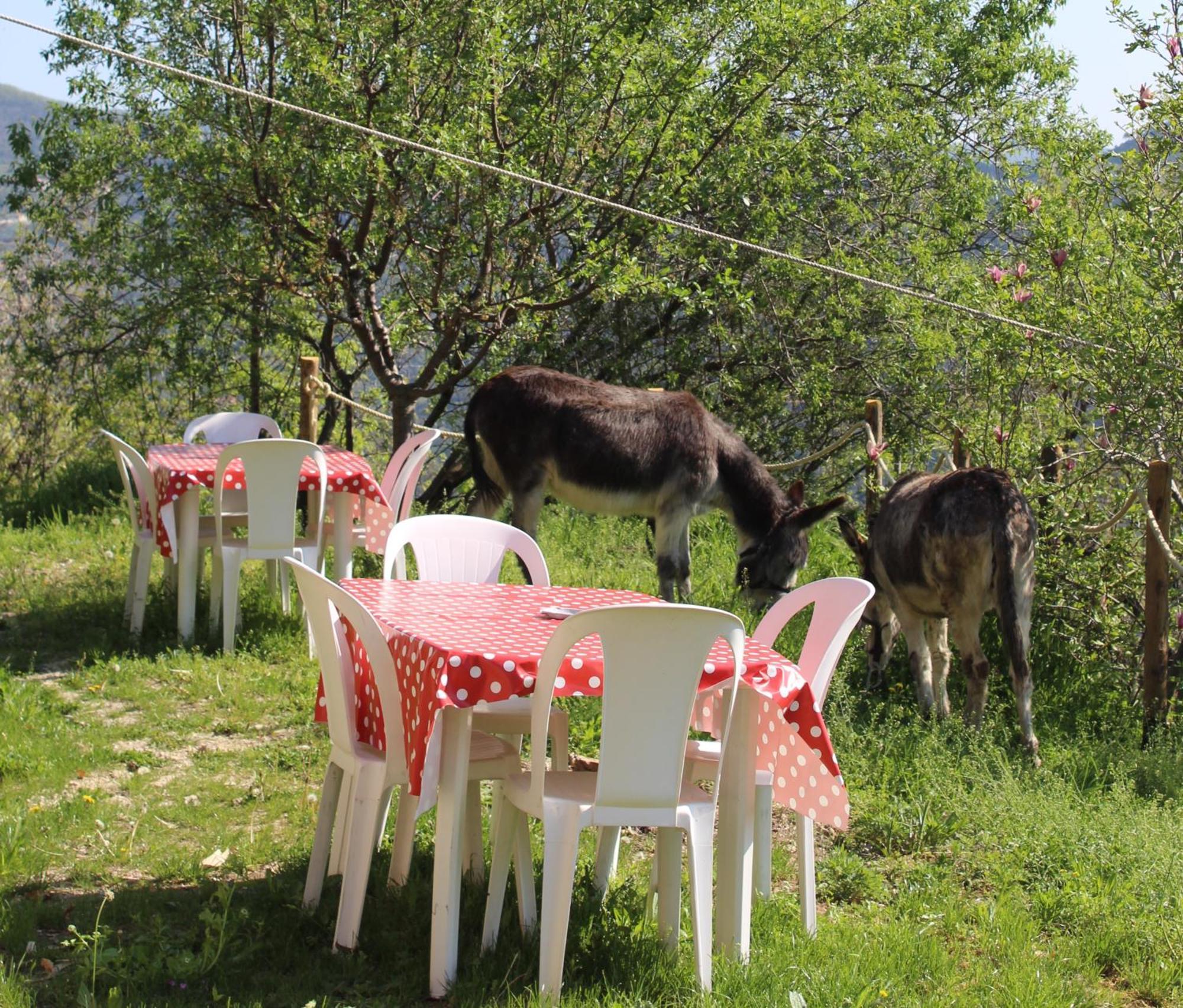 Segni E Impronta Bed & Breakfast Finale Ligure Eksteriør bilde