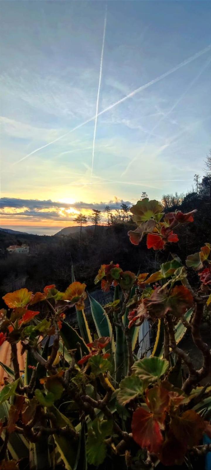 Segni E Impronta Bed & Breakfast Finale Ligure Eksteriør bilde
