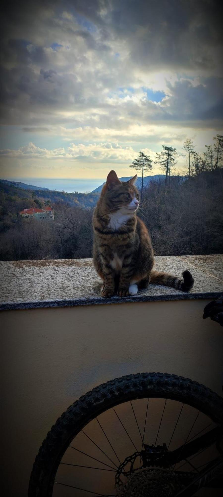 Segni E Impronta Bed & Breakfast Finale Ligure Eksteriør bilde